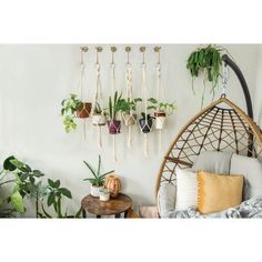 Modern S-hook plant hanger. Designed to support hanging plants, planters, and baskets. Coated with Weatherguard Protection to withstand harsh weather conditions and prevent corrosion. null - Architecture Cool, Support Pour Plante, Hanging Planters Indoor, Plant Pot Holders, Estilo Real, Macrame Plant Hangers, Room With Plants, S Hook, Flower Lights