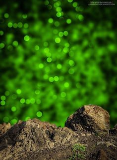 a rock sitting on top of dirt covered ground