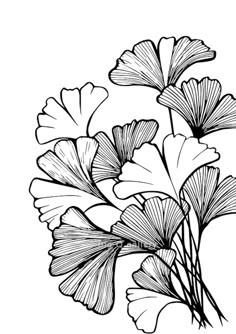 some flowers that are in black and white