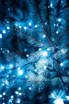 a blue christmas tree with lights on it