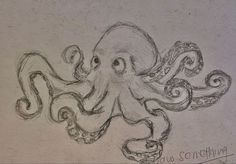 an octopus drawn in pencil on paper