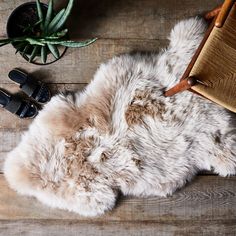 a sheepskin rug on a wooden floor next to a potted succulent plant