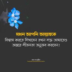 Bangla Status, Quotes Islamic, Allah Love, Soul Quotes, Beautiful Quran Quotes