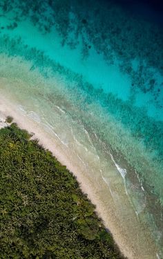 an aerial view of the ocean and beach from above, with palm trees in the foreground