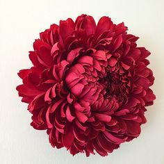 a large red flower sitting on top of a white wall