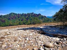 a river with rocks and trees in the background