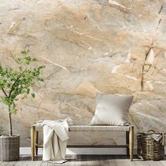 a stone wall with a bench and potted plant on the floor next to it