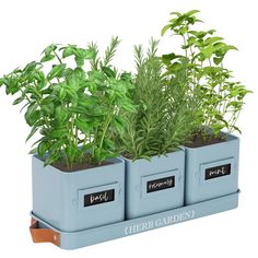 PRICES MAY VARY. 【Indoor Herb Garden】Experience the joy of gardening with our specialized indoor herb planter. This set includes a planter with a tray but does not come with plants and seeds. Designed specifically for herb cultivation, these planters can be used both indoors and outdoors. Crafted from durable metal with a sleek, glossy white finish, they blend functionality with a farmhouse style to enhance your living space. 【Windowsill Herb Garden】Our window herb garden includes three pots and a tray with a handle, with each pot measuring 4.4" W x 4.7" H, and the tray measuring 14.2" L x 4.9" W x 1.2" H. It's ideal for growing a variety of herbs such as mint, rosemary, basil, thyme, etc. Tailored for herb growth, our indoor herb pots provide an optimal environment for nurturing your herb Hanging Herbs In Kitchen, Herb Planter Ideas Indoor, Diy Windowsill Herb Garden, Diy Herb Garden Indoor Kitchen Windows, Kitchen Herb Garden Indoor Window Sill, Multi Herb Planter, Window Sill Herb Garden, Window Herb Garden, Windowsill Herb Garden