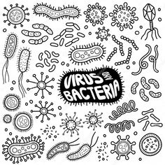 an image of various types of germs in black and white