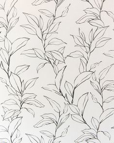 a drawing of leaves on a white background