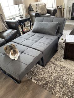 a cat laying on top of a couch in a living room