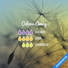 Odour Away - Essential Oil Diffuser Blend Essential Oils Herbs