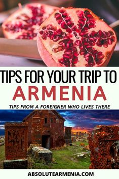 two pomegranates with the title tips for your trip to armenia