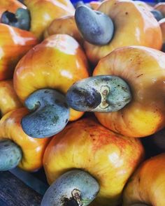 apples and plums are piled on top of each other in a pile with brown spots