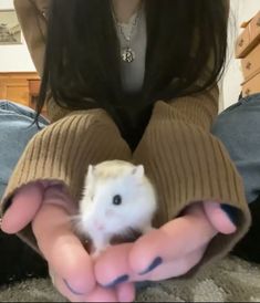 a person holding a small rodent in their hands