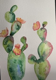 watercolor painting of two green and pink cactuses with flowers on white paper background