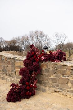 red flowers are growing on the side of a stone wall