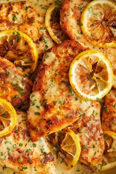 chicken with lemons and parmesan cheese in a pan ready to be eaten