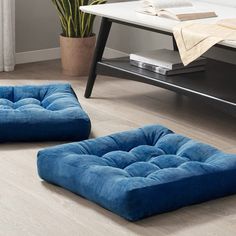 two blue dog beds sitting on the floor in front of a table with a potted plant