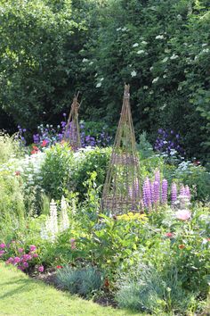 a garden filled with lots of different types of flowers