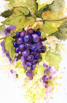 a painting of grapes with leaves on it