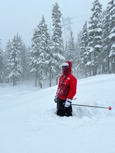 a man standing on top of a snow covered ski slope next to pine trees in the snow