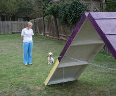 a woman standing next to a dog near a purple and yellow structure in the grass