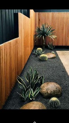 a small garden with rocks and cactuses in the foreground, next to a wooden fence