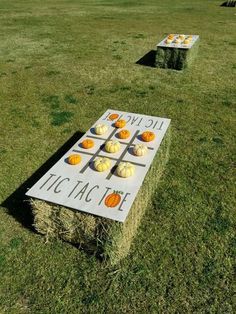 pumpkins are placed on hay in the middle of a field