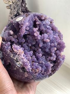 a person holding a rock with purple rocks in the background and white walls behind it