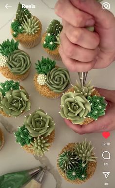 someone decorating cupcakes with succulents on top and green plants in the middle