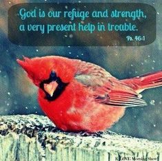 a red bird sitting on top of a wooden post with a bible verse above it