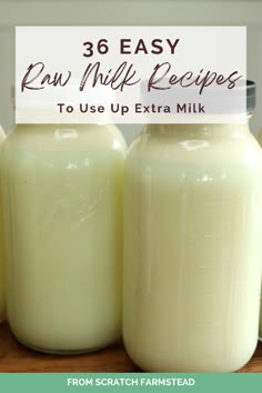 After getting our family milk cow three years ago, dairy has made up a way higher percentage of our overall diet. But the good news is that there are so many delicious ways to use this nutrient dense, creamy goodness. We will share over 30 raw milk recipes and ways that we put all that fresh milk to use. Jersey Cow Milk, Family Milk Cow, Milk Ideas, Homemade Milk, Milk Benefits