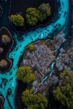 an aerial view of the blue river and its surrounding land, with trees in the foreground