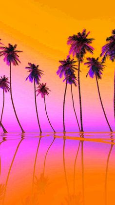 palm trees are reflected in the still water on an orange and pink sunset with reflection