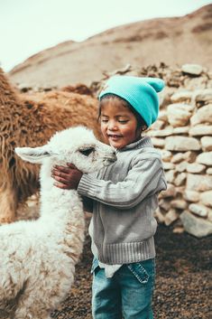 a young boy is petting a small white llama