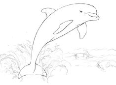 a drawing of a dolphin jumping out of the water