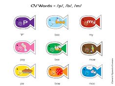 an image of different types of fish with words in the middle and lowercases