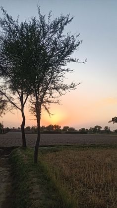 the sun is setting behind two trees in an open field