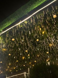 the lights are hanging down from the ceiling in the building's garden area at night