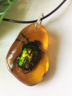 Real Scarab Beetle in Amber Resin pendant necklace cord Amulet of Love Luck Natural insect jewelry Bug Nature necklace yellow green egypt summer jewelry christmas gift for children  Lovely Amulet Scarab Large pendant on a black cord Amber color epoxy resin gift to a friend, girlfriend holiday birthday, christmas children gift loves insects  US size pendants 1.60 inch by 1 inch  black cord 18 inches + 1.97 chain  pendants 4 cm by 2.5 cm cord 45 cm + extension chain   Beetles are large and medium,I send any pendants  ------------------- shipping in a gift bag  Free shipping Wizard Jewelry, Beetle Necklace, Green Bug, Color Epoxy, Funny Jewelry, Amber Resin, Resin Pendant Necklace, Natural Gemstone Necklace, Baltic Amber Jewelry