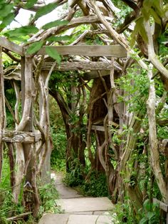 a wooden structure with vines growing on it's sides in the middle of a garden