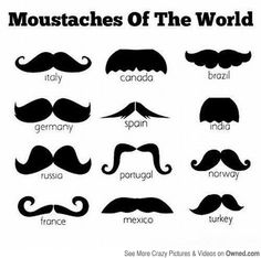 moustache world mustaches are the most popular hairstyle for men and women