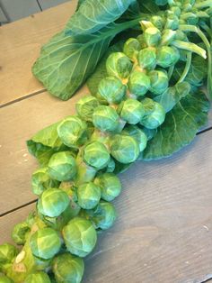 some green leafy vegetables are laying on a wooden table and ready to be eaten