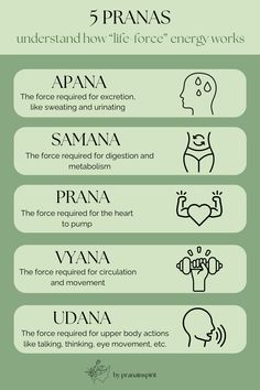 What are the five pranas? Find out from this simple, visual guide! #prana #pranayama #lifeforce #spirituality #chakras #energy #energyhealing #spiritualgrowth #spiritualjourney #spiritualawakening Prana Meaning, Spiritual Eating, Yoga Theory, Spirituality Chakras, Yoga Knowledge, Yoga Pranayama, Chakras Energy, Retreat Activities, Spirituality Energy Universe