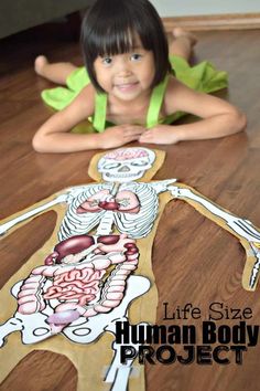 Teaching Prek, Body Parts For Kids, Human Body Model