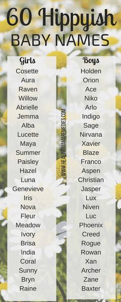 the go hippy push baby names are shown in yellow and white daisies on a field