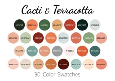 the color swatches for cati and terracotta, which are available in various colors