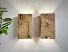 two wooden square lights on a white wall next to a potted plant in the corner