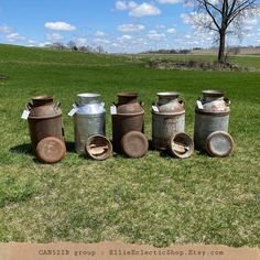 several old pots and pans are sitting in the grass